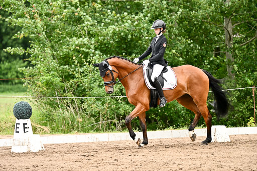 Goldene Schärpe Pferfde in Löningen 2026 | 12062026Dressur B _0920 