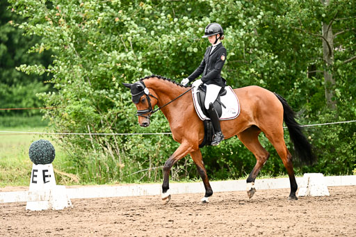Goldene Schärpe Pferfde in Löningen 2026 | 12062026Dressur B _0921 