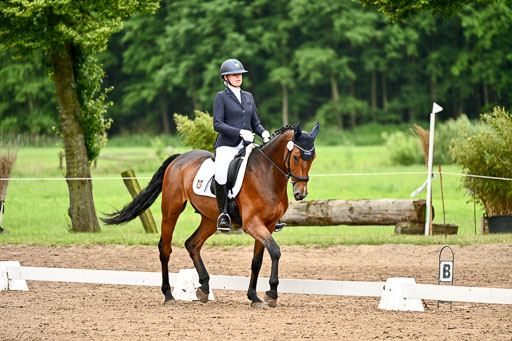 Goldene Schärpe Pferfde in Löningen 2026 | 12062026Dressur B _0923 