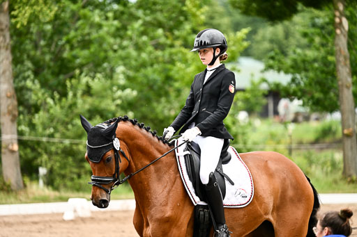 Goldene Schärpe Pferfde in Löningen 2026 | 12062026Dressur B _0925 