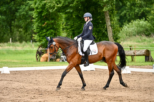Goldene Schärpe Pferfde in Löningen 2026 | 12062026Dressur B _0926 