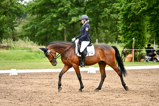 Goldene Schärpe Pferfde in Löningen 2026 | 12062026Dressur B _0927 