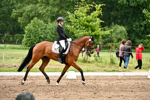 Goldene Schärpe Pferfde in Löningen 2026 | 12062026Dressur B _0928 