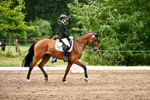 Goldene Schärpe Pferfde in Löningen 2026 | 12062026Dressur B _0929 