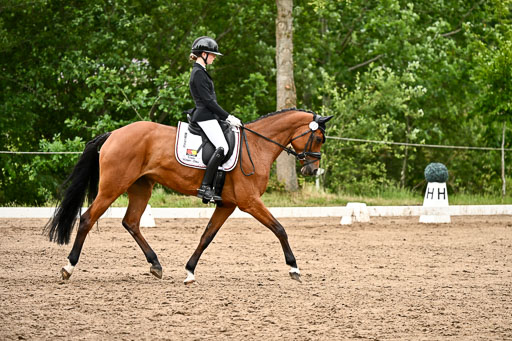 Goldene Schärpe Pferfde in Löningen 2026 | 12062026Dressur B _0931 