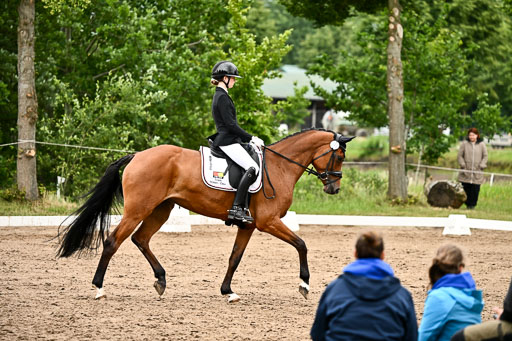 Goldene Schärpe Pferfde in Löningen 2026 | 12062026Dressur B _0932 