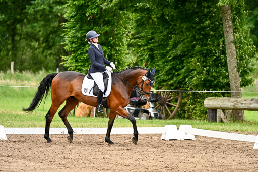 Goldene Schärpe Pferfde in Löningen 2026 | 12062026Dressur B _0934 