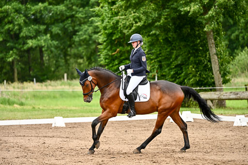 Goldene Schärpe Pferfde in Löningen 2026 | 12062026Dressur B _0936 
