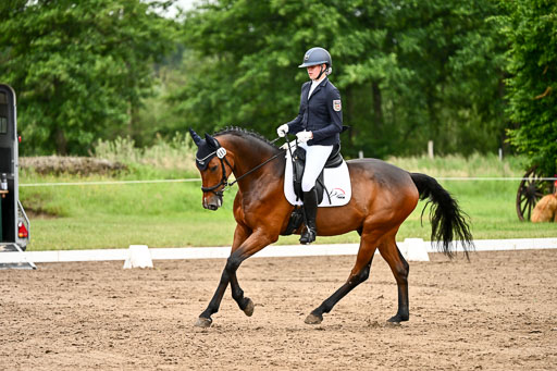Goldene Schärpe Pferfde in Löningen 2026 | 12062026Dressur B _0937 