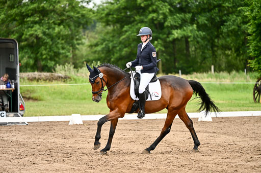 Goldene Schärpe Pferfde in Löningen 2026 | 12062026Dressur B _0938 
