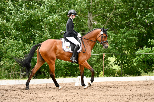 Goldene Schärpe Pferfde in Löningen 2026 | 12062026Dressur B _0939 