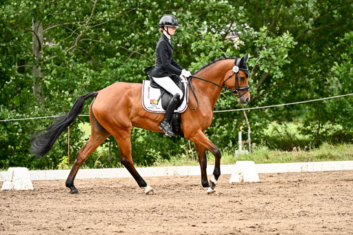 Goldene Schärpe Pferfde in Löningen 2026 | 12062026Dressur B _0940 