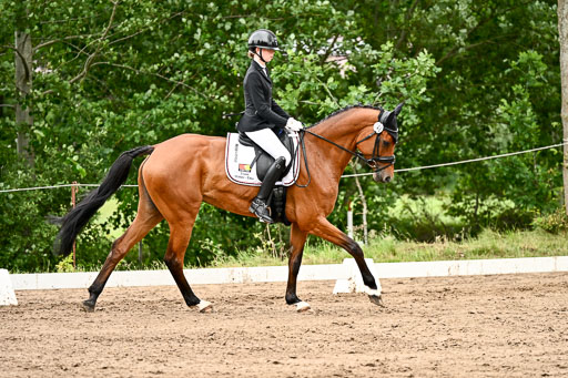 Goldene Schärpe Pferfde in Löningen 2026 | 12062026Dressur B _0941 