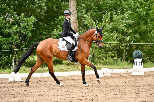 Goldene Schärpe Pferfde in Löningen 2026 | 12062026Dressur B _0943 