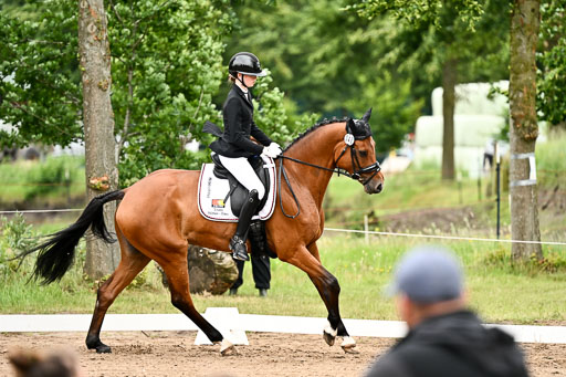 Goldene Schärpe Pferfde in Löningen 2026 | 12062026Dressur B _0945 