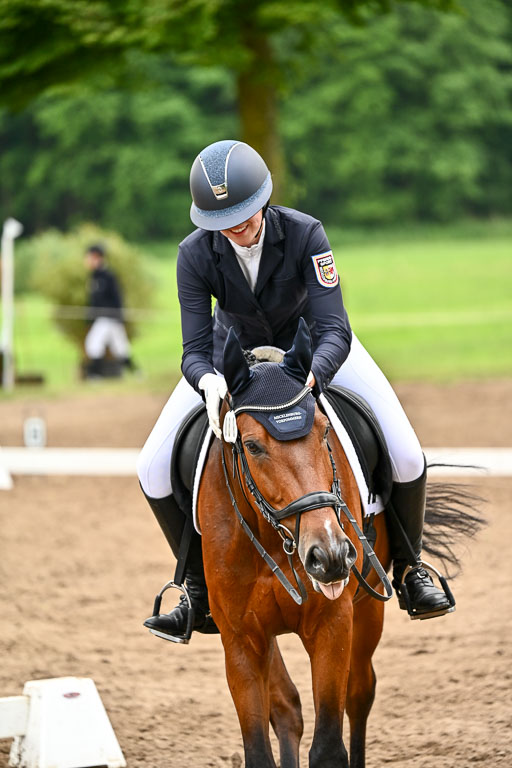 Goldene Schärpe Pferfde in Löningen 2026 | 12062026Dressur B _0949 