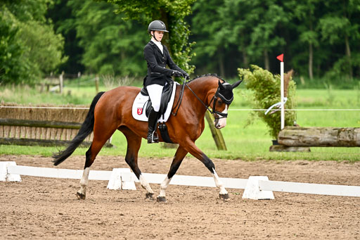 Goldene Schärpe Pferfde in Löningen 2026 | 12062026Dressur B _0952 