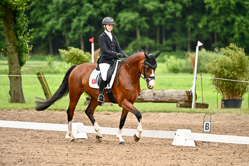 Goldene Schärpe Pferfde in Löningen 2026 | 12062026Dressur B _0954 
