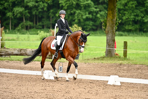 Goldene Schärpe Pferfde in Löningen 2026 | 12062026Dressur B _0955 
