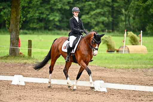 Goldene Schärpe Pferfde in Löningen 2026 | 12062026Dressur B _0956 