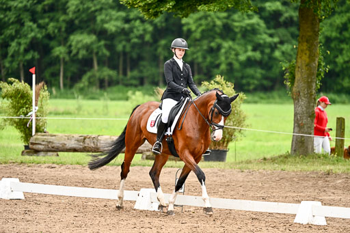 Goldene Schärpe Pferfde in Löningen 2026 | 12062026Dressur B _0957 
