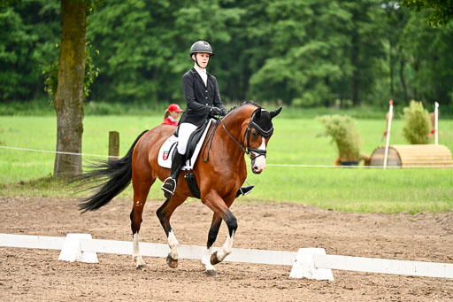 Goldene Schärpe Pferfde in Löningen 2026 | 12062026Dressur B _0960 