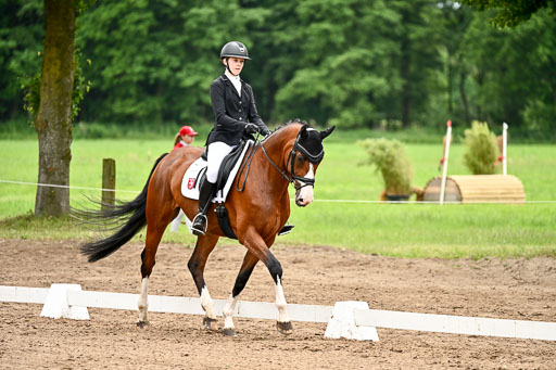 Goldene Schärpe Pferfde in Löningen 2026 | 12062026Dressur B _0961 