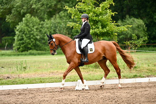Goldene Schärpe Pferfde in Löningen 2026 | 12062026Dressur B _0963 