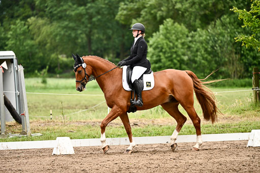 Goldene Schärpe Pferfde in Löningen 2026 | 12062026Dressur B _0964 