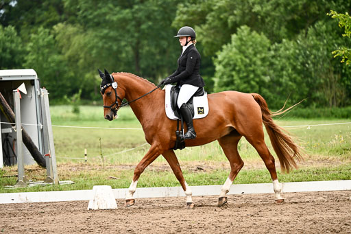 Goldene Schärpe Pferfde in Löningen 2026 | 12062026Dressur B _0965 