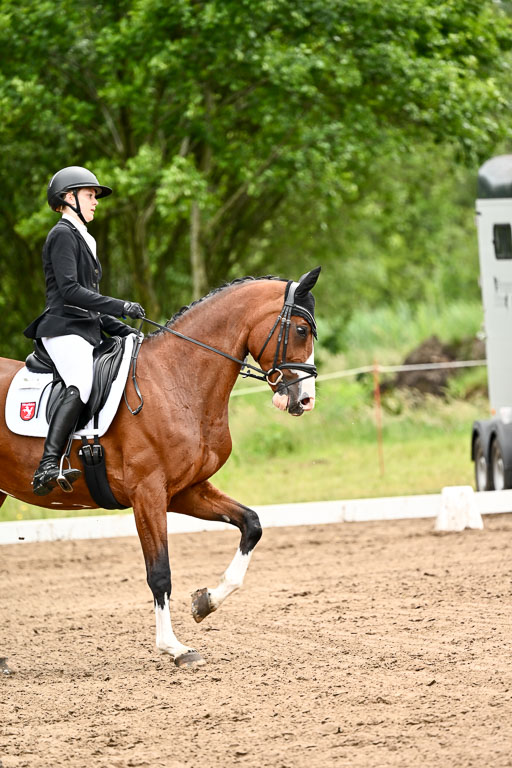Goldene Schärpe Pferfde in Löningen 2026 | 12062026Dressur B _0966 