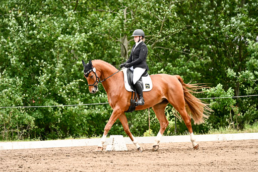 Goldene Schärpe Pferfde in Löningen 2026 | 12062026Dressur B _0967 
