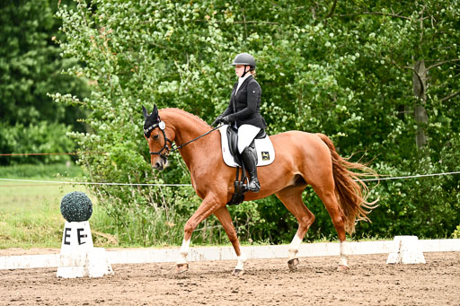 Goldene Schärpe Pferfde in Löningen 2026 | 12062026Dressur B _0968 