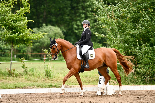 Goldene Schärpe Pferfde in Löningen 2026 | 12062026Dressur B _0969 