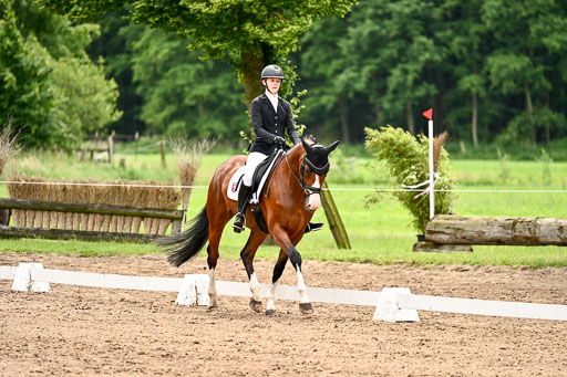 Goldene Schärpe Pferfde in Löningen 2026 | 12062026Dressur B _0971 