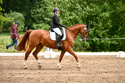 Goldene Schärpe Pferfde in Löningen 2026 | 12062026Dressur B _0973 