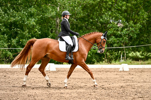 Goldene Schärpe Pferfde in Löningen 2026 | 12062026Dressur B _0974 