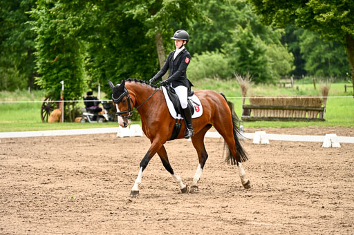 Goldene Schärpe Pferfde in Löningen 2026 | 12062026Dressur B _0975 