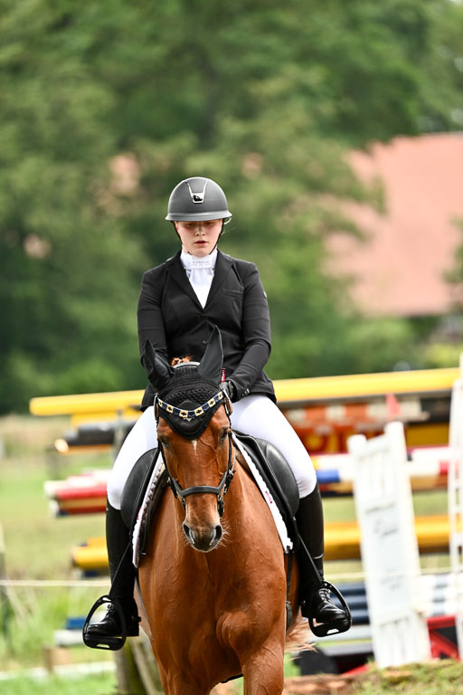 Goldene Schärpe Pferfde in Löningen 2026 | 12062026Dressur B _0976 