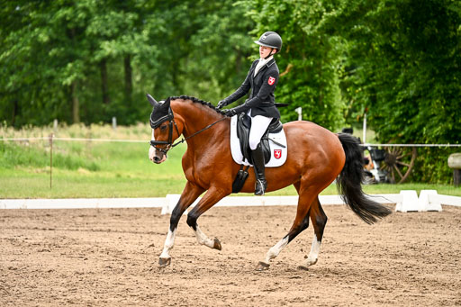 Goldene Schärpe Pferfde in Löningen 2026 | 12062026Dressur B _0978 