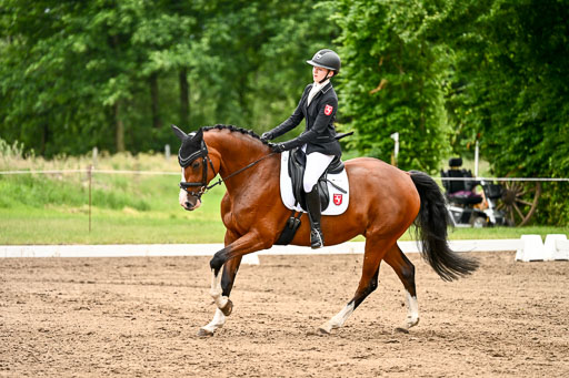 Goldene Schärpe Pferfde in Löningen 2026 | 12062026Dressur B _0979 