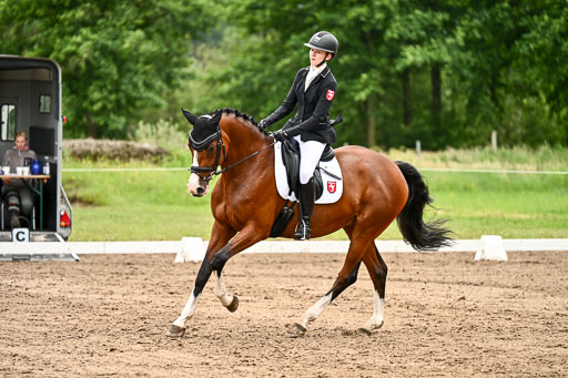 Goldene Schärpe Pferfde in Löningen 2026 | 12062026Dressur B _0980 