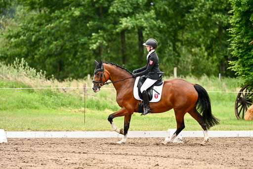 Goldene Schärpe Pferfde in Löningen 2026 | 12062026Dressur B _0981 