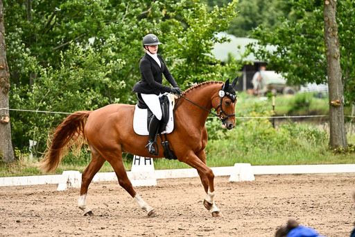Goldene Schärpe Pferfde in Löningen 2026 | 12062026Dressur B _0982 
