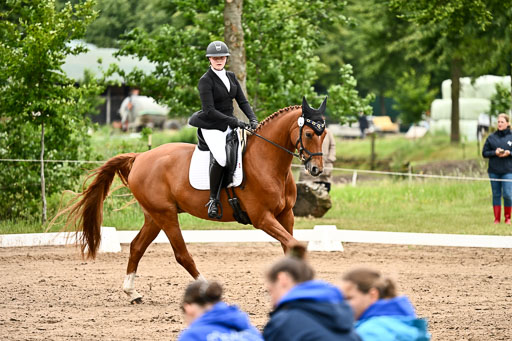 Goldene Schärpe Pferfde in Löningen 2026 | 12062026Dressur B _0983 