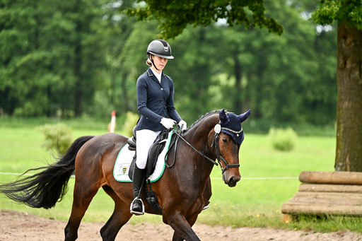 Goldene Schärpe Pferfde in Löningen 2026 | 12062026Dressur B _0994 