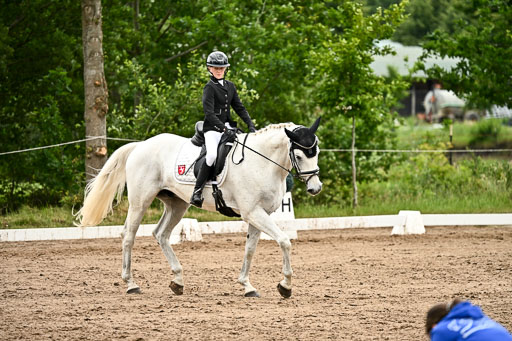 Goldene Schärpe Pferfde in Löningen 2026 | 12062026Dressur B _0996 