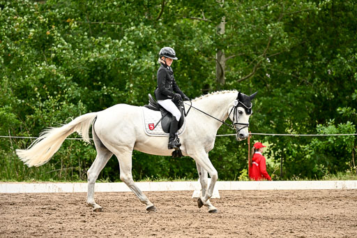 Goldene Schärpe Pferfde in Löningen 2026 | 12062026Dressur B _0998 
