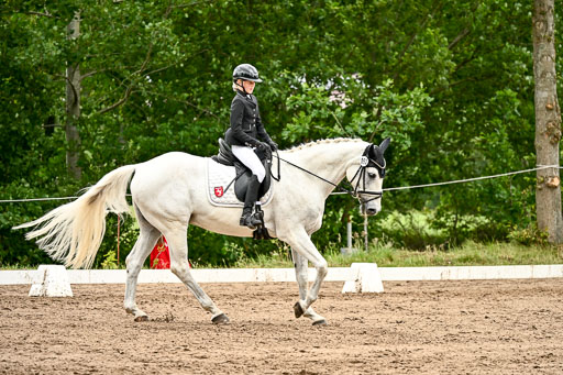 Goldene Schärpe Pferfde in Löningen 2026 | 12062026Dressur B _0999 