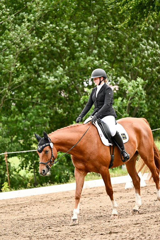 Goldene Schärpe Pferfde in Löningen 2026 | 12062026Dressur B _1001 